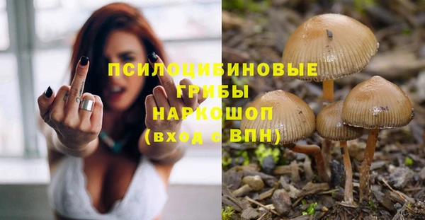 spice Белоозёрский